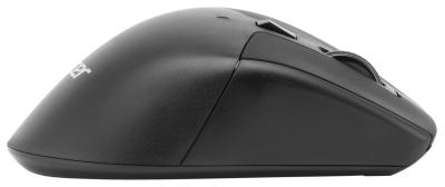 Мышь ACER OMR150 черный оптическая (1600dpi) беспроводная USB (6but) (ZL.MCEEE.00K)